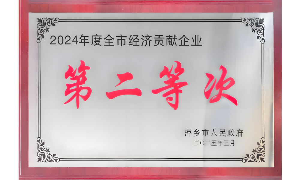 2024全市经济贡献奖